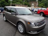 Mineral Gray Ford Flex in 2014