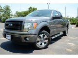 2013 Sterling Gray Metallic Ford F150 STX SuperCab #82215864