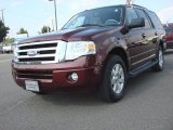 2010 Royal Red Metallic Ford Expedition XLT #82269949