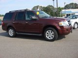 2010 Ford Expedition XLT Exterior
