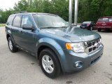 2010 Ford Escape XLT V6 4WD Front 3/4 View