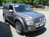 Sterling Grey Metallic Mercury Mariner in 2010