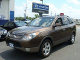 2011 Sahara Bronze Metallic Hyundai Veracruz Limited AWD #82360530