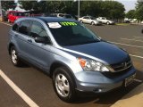 2010 Glacier Blue Metallic Honda CR-V LX AWD #82389958