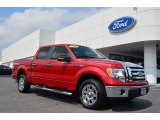 2009 Ford F150 XLT SuperCrew Data, Info and Specs