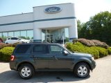 2009 Ford Escape XLT V6 4WD