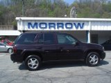 2009 Dark Cherry Metallic Chevrolet TrailBlazer LT 4x4 #8247317