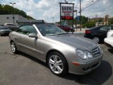 2006 Pewter Metallic Mercedes-Benz CLK 350 Cabriolet #82638729