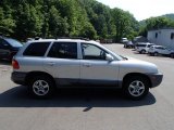 2004 Pewter Hyundai Santa Fe GLS 4WD #82638487