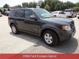 Black Pearl Slate Metallic Ford Escape in 2009