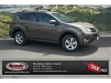 2013 Pyrite Mica Toyota RAV4 XLE AWD #82672481