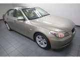 2010 BMW 5 Series 528i Sedan Front 3/4 View