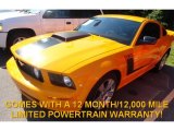 2007 Grabber Orange Ford Mustang GT Premium Coupe #82790934