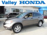 2010 Urban Titanium Metallic Honda CR-V EX AWD #82846017