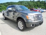 2009 Ford F150 Platinum SuperCrew 4x4 Front 3/4 View