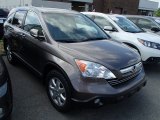 2009 Urban Titanium Metallic Honda CR-V EX-L 4WD #82896003