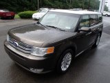 2011 Ford Flex SEL AWD Front 3/4 View