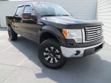 2011 Tuxedo Black Metallic Ford F150 XLT SuperCrew 4x4 #82925216