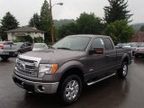 2013 Sterling Gray Metallic Ford F150 XLT SuperCab 4x4 #82925421