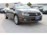 Black Oak Brown Metallic Volkswagen Eos in 2013