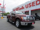 2009 Royal Red Metallic Ford F150 XLT SuperCrew #82969634