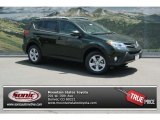 2013 Toyota RAV4 XLE AWD