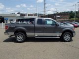 2013 Sterling Gray Metallic Ford F150 XLT SuperCab 4x4 #83017199