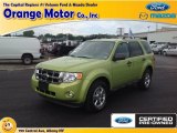 2012 Lime Squeeze Metallic Ford Escape XLT 4WD #83017308
