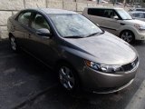2010 Kia Forte EX