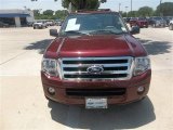 2012 Autumn Red Metallic Ford Expedition XLT #83070738
