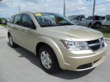 White Gold Dodge Journey in 2010