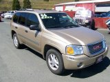 2006 Sand Beige Metallic GMC Envoy SLE 4x4 #8304369