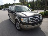 Black Ford Expedition in 2008