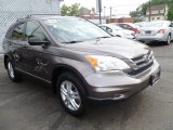 2010 Urban Titanium Metallic Honda CR-V EX AWD #83102934