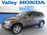 2010 Urban Titanium Metallic Honda CR-V EX-L AWD #83140917