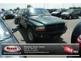 2000 Forest Green Pearl Dodge Dakota Sport Extended Cab 4x4 #83140890