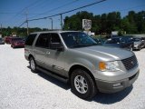 2003 Silver Birch Metallic Ford Expedition XLT 4x4 #83206501