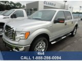 2010 Ingot Silver Metallic Ford F150 XLT SuperCrew 4x4 #83263588