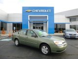 2005 Silver Green Metallic Chevrolet Malibu LS V6 Sedan #83316569