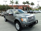 2010 Sterling Grey Metallic Ford F150 Platinum SuperCrew 4x4 #83377503