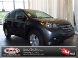 2013 Polished Metal Metallic Honda CR-V EX-L #83377098