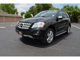 2010 Obsidian Black Metallic Mercedes-Benz ML 350 4Matic #83377767