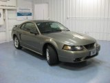 2001 Mineral Grey Metallic Ford Mustang Cobra Coupe #83377394