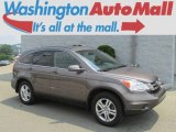 2010 Urban Titanium Metallic Honda CR-V EX-L AWD #83469490