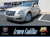 2013 Silver Coast Metallic Cadillac CTS 3.0 Sedan #83469300