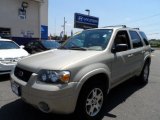 2005 Gold Ash Metallic Ford Escape Limited 4WD #83500759