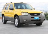 2001 Chrome Yellow Metallic Ford Escape XLT V6 #83500507
