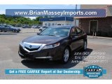 2010 Basque Red Pearl Acura TL 3.5 #83500026