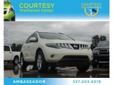 2010 Nissan Murano SL