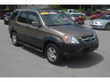 2004 Mojave Mist Metallic Honda CR-V EX 4WD #83499939